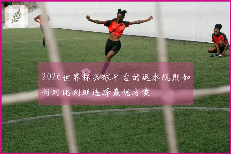 2026世界杯买球平台的返水规则如何对比判断选择最优方案