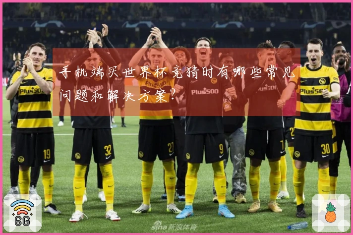 手机端买世界杯竞猜时有哪些常见问题和解决方案？