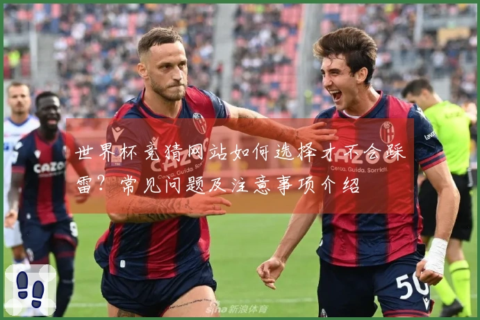 世界杯竞猜网站如何选择才不会踩雷？常见问题及注意事项介绍