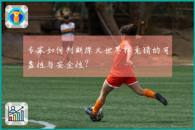 专家如何判断烽火世界杯竞猜的可靠性与安全性？