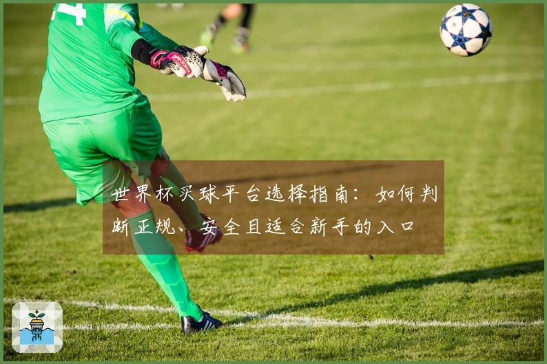 世界杯买球平台选择指南：如何判断正规、安全且适合新手的入口