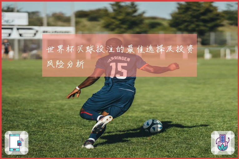 世界杯买球投注的最佳选择及投资风险分析