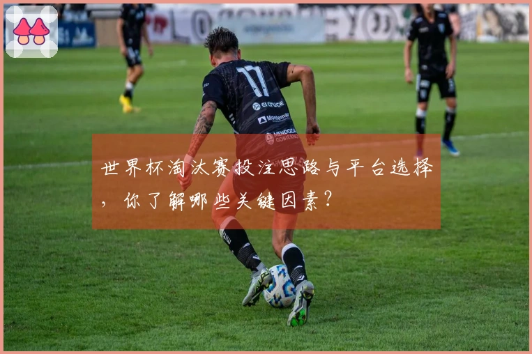 世界杯淘汰赛投注思路与平台选择，你了解哪些关键因素？