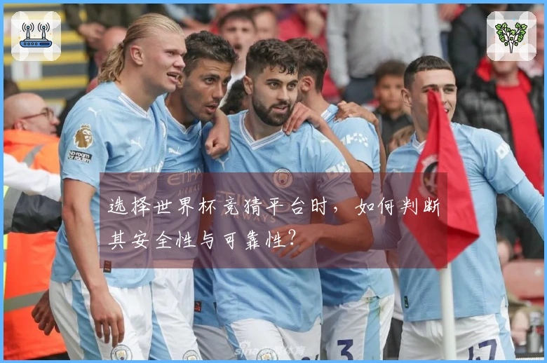 选择世界杯竞猜平台时，如何判断其安全性与可靠性？
