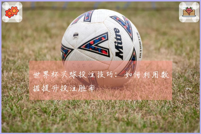 世界杯买球投注技巧：如何利用数据提升投注胜率