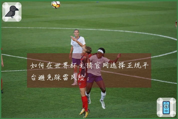 如何在世界杯竞猜官网选择正规平台避免踩雷风险