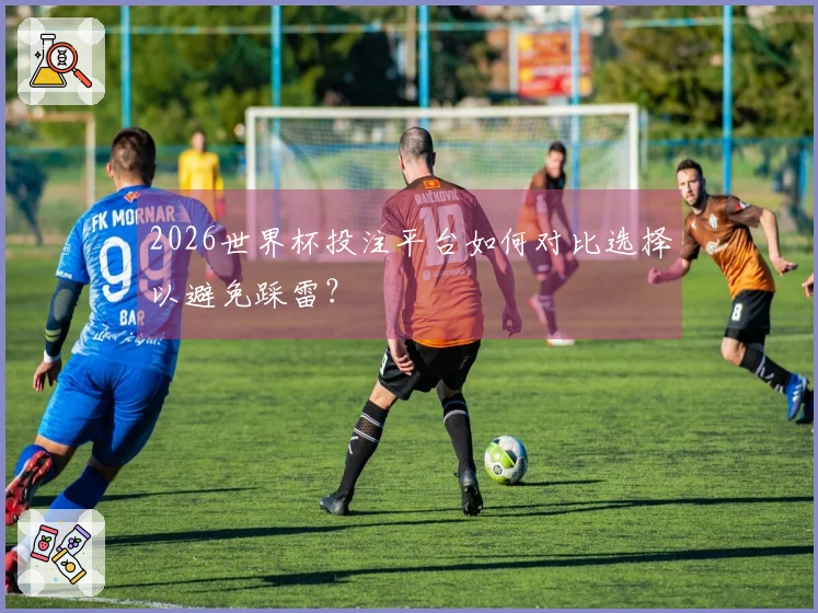 2026世界杯投注平台如何对比选择以避免踩雷？