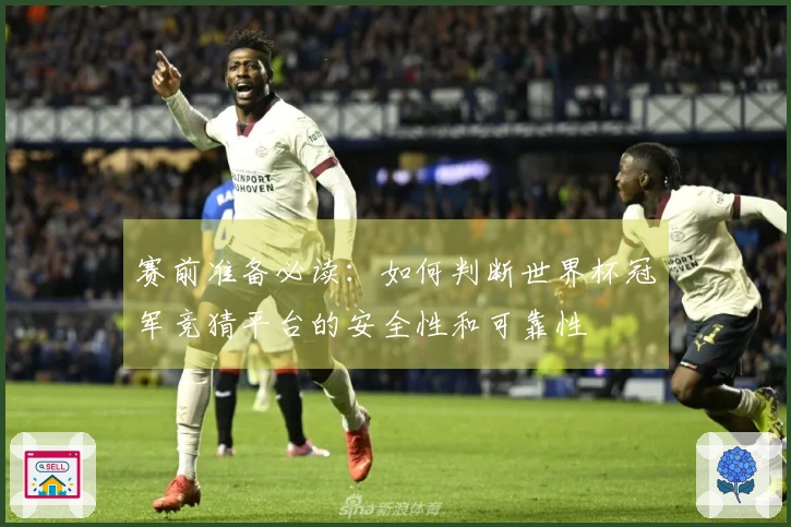 赛前准备必读：如何判断世界杯冠军竞猜平台的安全性和可靠性