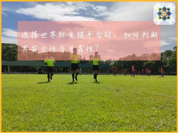 选择世界杯竞猜平台时，如何判断其安全性与可靠性？