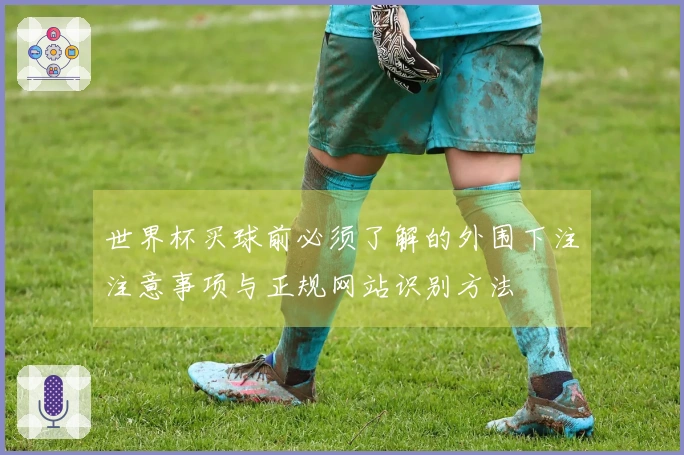 世界杯买球前必须了解的外围下注注意事项与正规网站识别方法