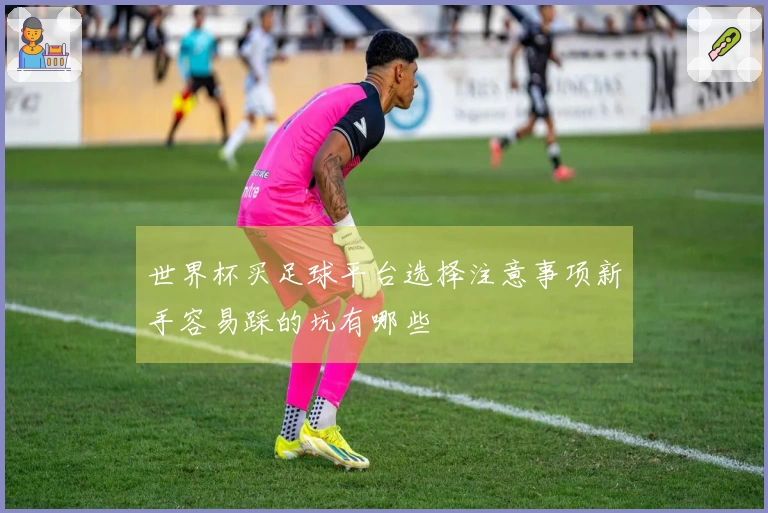 世界杯买足球平台选择注意事项新手容易踩的坑有哪些