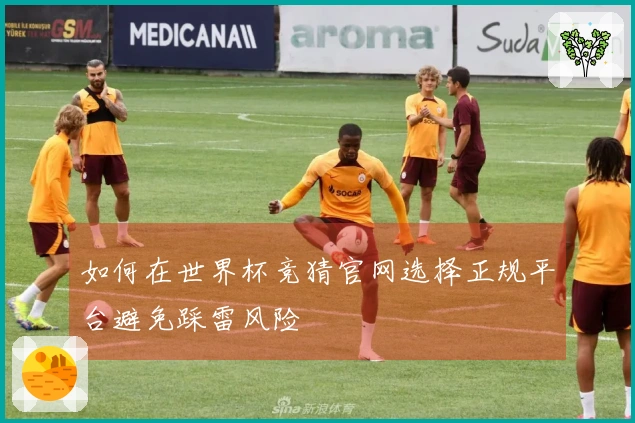 如何在世界杯竞猜官网选择正规平台避免踩雷风险
