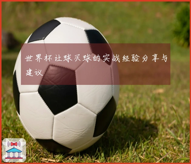 世界杯让球买球的实战经验分享与建议