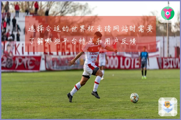 选择合适的世界杯竞猜网站时需要了解哪些平台特点和用户反馈