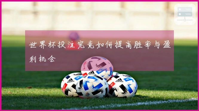 世界杯投注究竟如何提高胜率与盈利机会