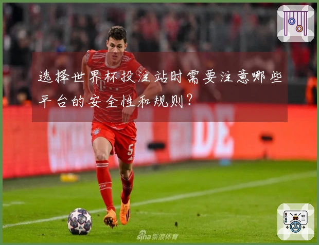选择世界杯投注站时需要注意哪些平台的安全性和规则？