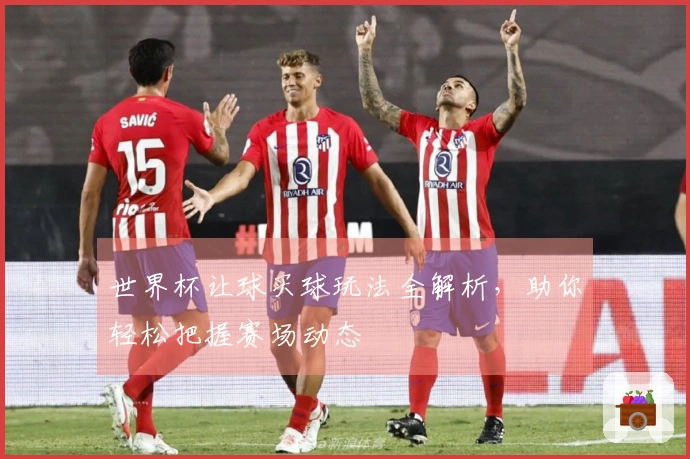世界杯让球买球玩法全解析，助你轻松把握赛场动态