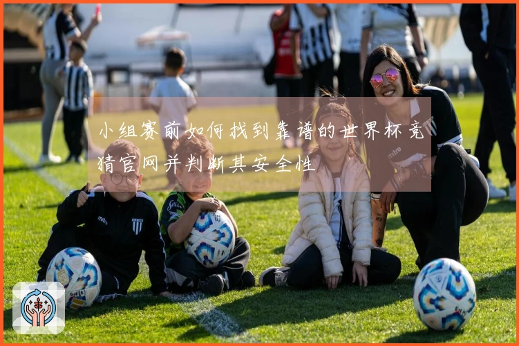 小组赛前如何找到靠谱的世界杯竞猜官网并判断其安全性