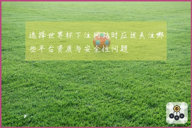 选择世界杯下注网站时应该关注哪些平台资质与安全性问题
