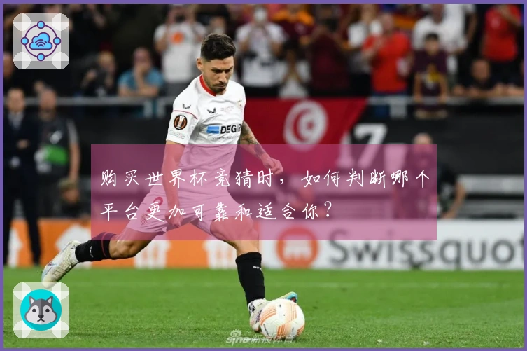 购买世界杯竞猜时，如何判断哪个平台更加可靠和适合你？