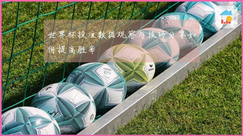 世界杯投注数据观察与技巧分享如何提高胜率