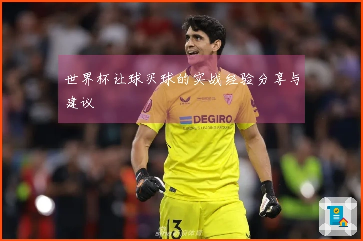 世界杯让球买球的实战经验分享与建议