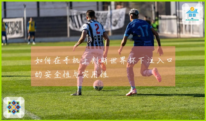 如何在手机上判断世界杯下注入口的安全性与实用性