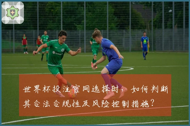 世界杯投注官网选择时，如何判断其合法合规性及风险控制措施？