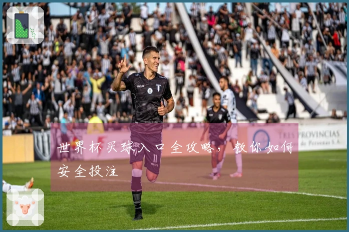世界杯买球入口全攻略，教你如何安全投注