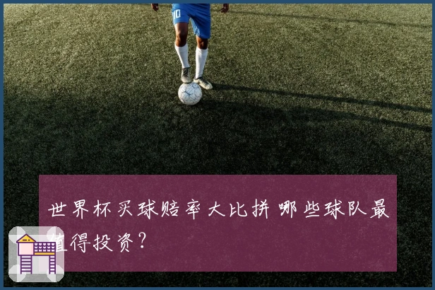 世界杯买球赔率大比拼 哪些球队最值得投资？