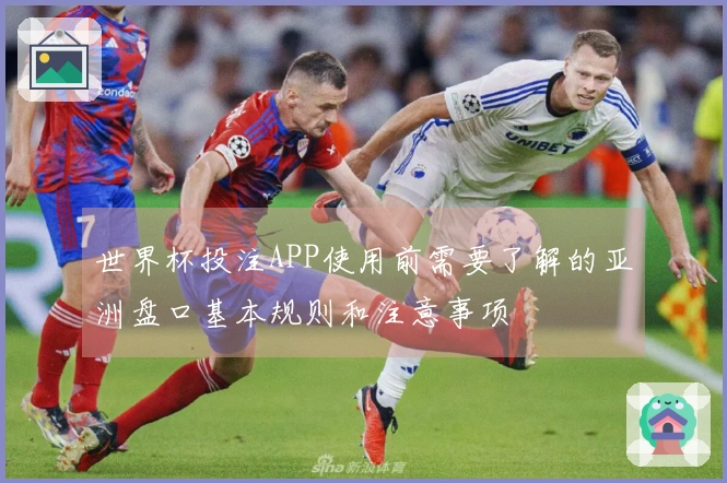世界杯投注APP使用前需要了解的亚洲盘口基本规则和注意事项