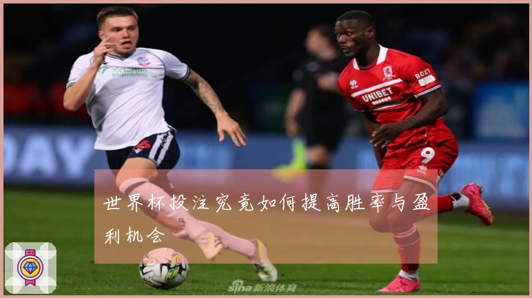 世界杯投注究竟如何提高胜率与盈利机会