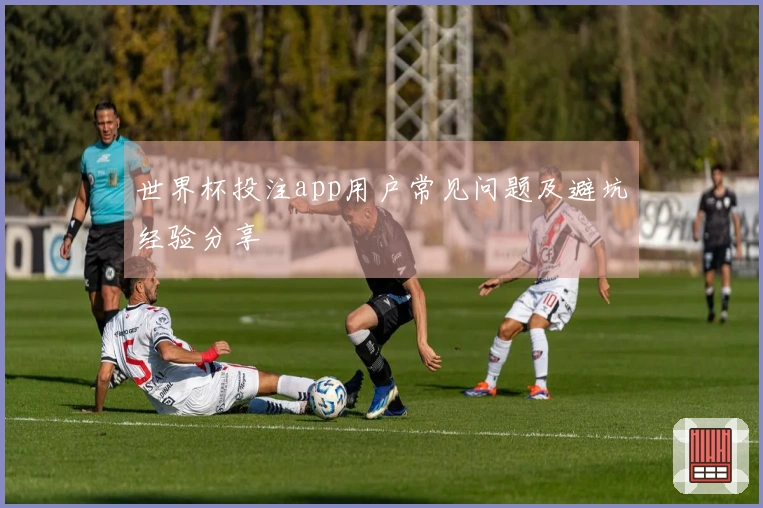 世界杯投注app用户常见问题及避坑经验分享