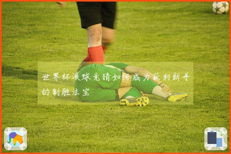 世界杯滚球竞猜如何成为获利新手的制胜法宝