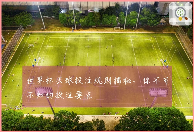 世界杯买球投注规则揭秘，你不可不知的投注要点