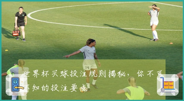 世界杯买球投注规则揭秘，你不可不知的投注要点