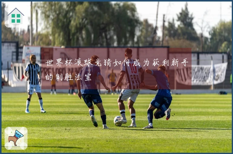 世界杯滚球竞猜如何成为获利新手的制胜法宝