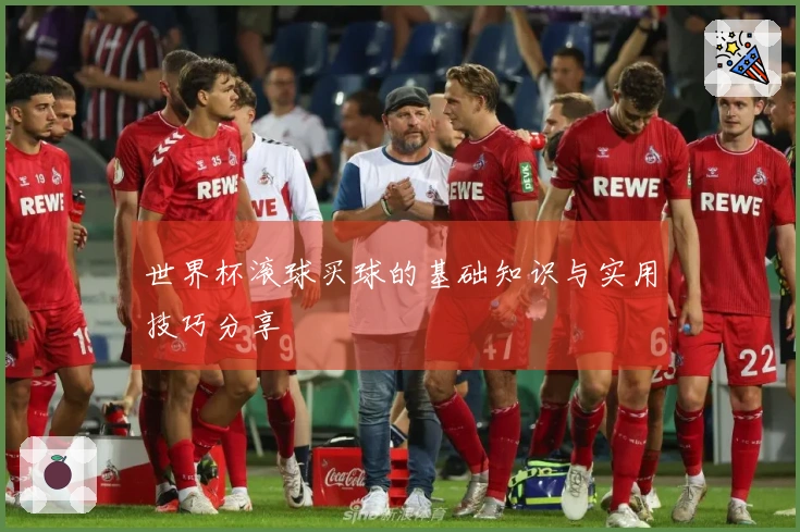 世界杯滚球买球的基础知识与实用技巧分享