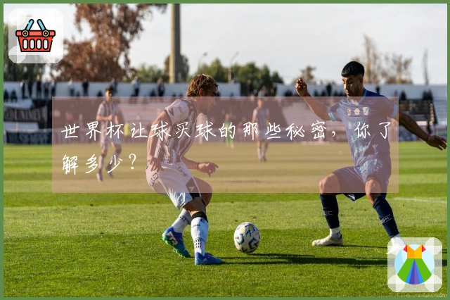 世界杯让球买球的那些秘密，你了解多少？