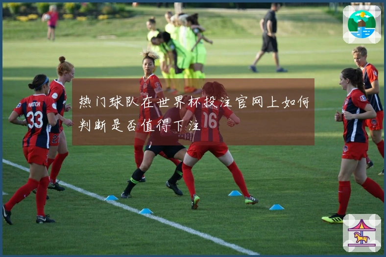 热门球队在世界杯投注官网上如何判断是否值得下注