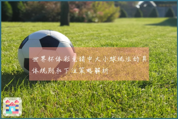 世界杯体彩竞猜中大小球玩法的具体规则和下注策略解析